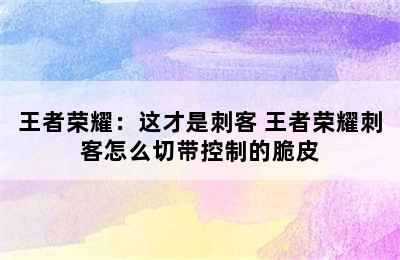 王者荣耀：这才是刺客 王者荣耀刺客怎么切带控制的脆皮